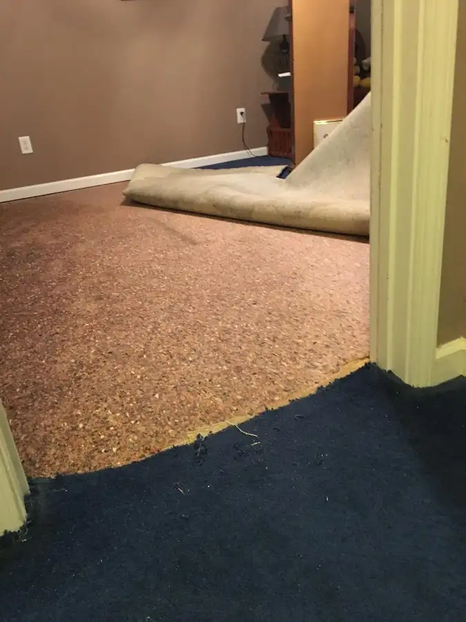 Carpet pad removal revealing water damage during Water Mitigation Services in Pimmit Hills