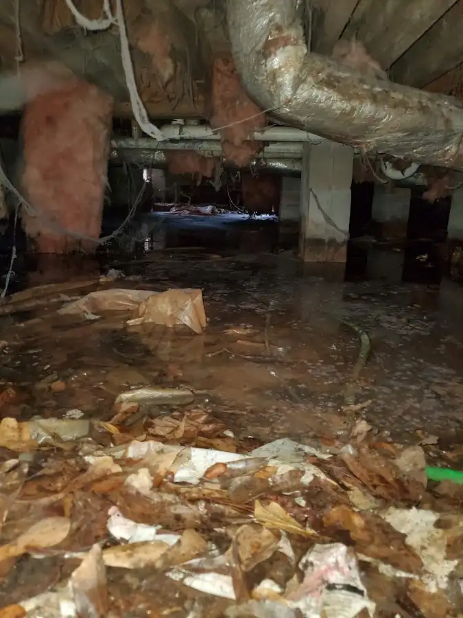 Crawl space flood assessment for Leak Detection & Repair in Pimmit Hills