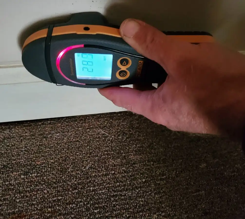 Moisture detection at baseboard during Sewage Cleanup & Sanitation in Pimmit Hills